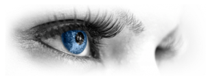 Vision
